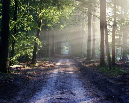 Glowing regional paths in the fictional Crown Nation Trails mobile game