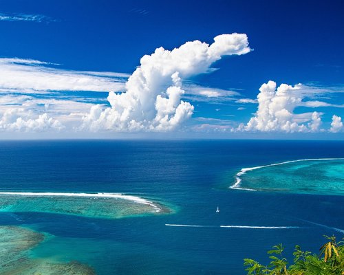 Colourful reef coast in the fictional Coral Crown Coast mobile game